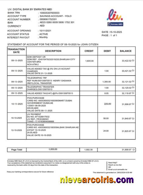 UAE Liv. Digital Bank statement of account Word and PDF